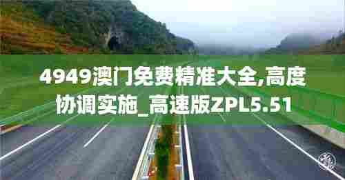 4949澳门免费精准大全,高度协调实施_高速版ZPL5.51