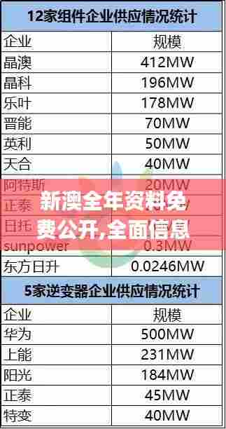 新澳全年资料免费公开,全面信息解释定义_可靠版HRO5.40