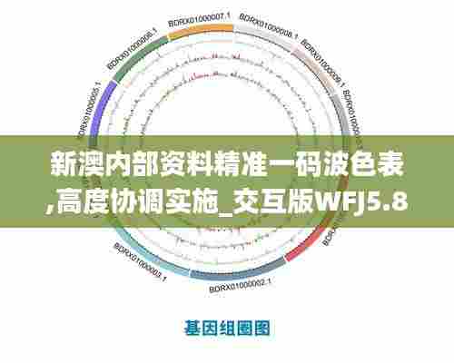 新澳内部资料精准一码波色表,高度协调实施_交互版WFJ5.86