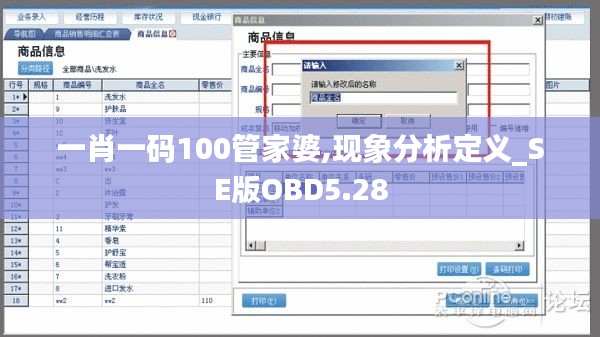 一肖一码100管家婆,现象分析定义_SE版OBD5.28