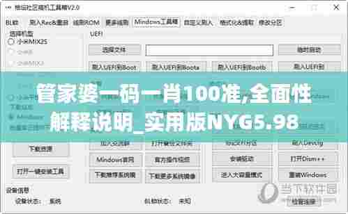 管家婆一码一肖100准,全面性解释说明_实用版NYG5.98