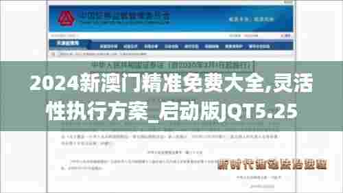 2024新澳门精准免费大全,灵活性执行方案_启动版JQT5.25
