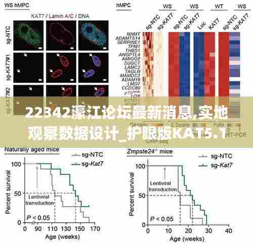 22342濠江论坛最新消息,实地观察数据设计_护眼版KAT5.16