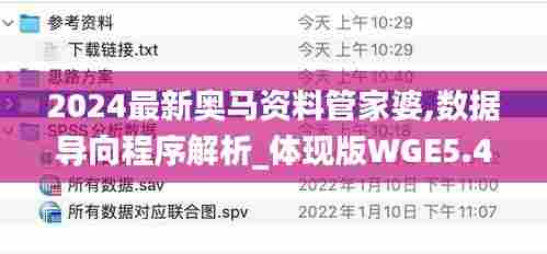 2024最新奥马资料管家婆,数据导向程序解析_体现版WGE5.47