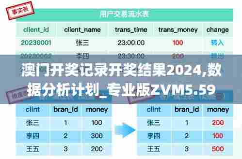 澳门开奖记录开奖结果2024,数据分析计划_专业版ZVM5.59