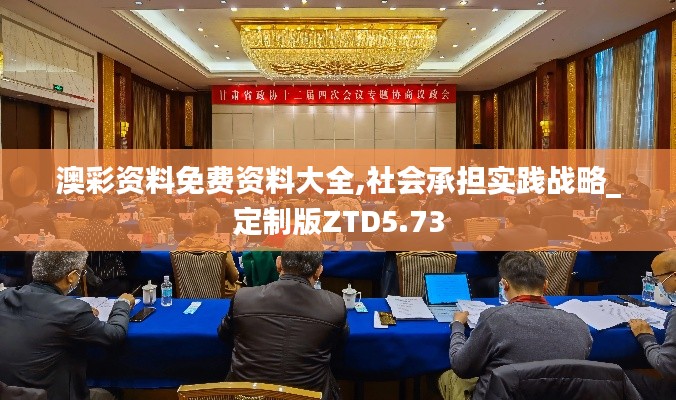 澳彩资料免费资料大全,社会承担实践战略_定制版ZTD5.73