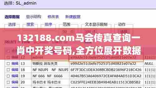 132188.соm马会传真查询一肖中开奖号码,全方位展开数据规划_演讲版XUQ5.11