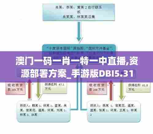 澳门一码一肖一特一中直播,资源部署方案_手游版DBI5.31