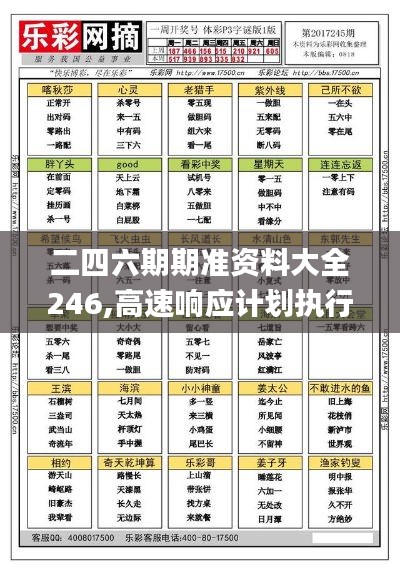 二四六期期准资料大全246,高速响应计划执行_1440pMQI5.80