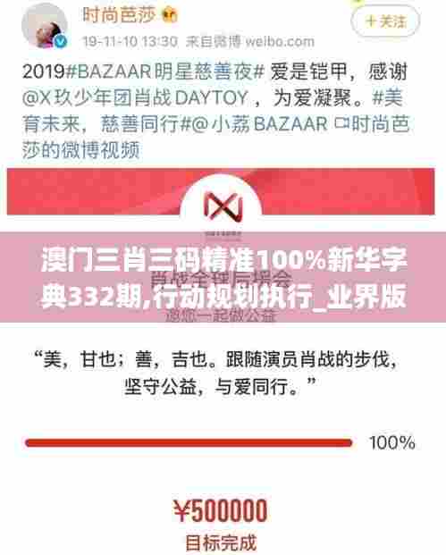 澳门三肖三码精准100%新华字典332期,行动规划执行_业界版WWD11.35