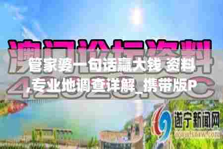 管家婆一句话赢大钱 资料,专业地调查详解_携带版PKB5.90