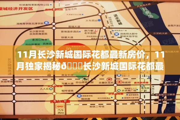 独家揭秘,长沙新城国际花都最新房价走势及动向分析(11月版)