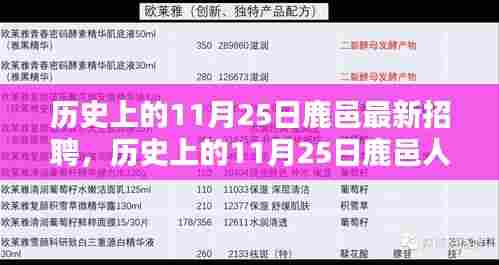 历史上的11月25日鹿邑招聘热点，人才招聘深度分析与观点探讨