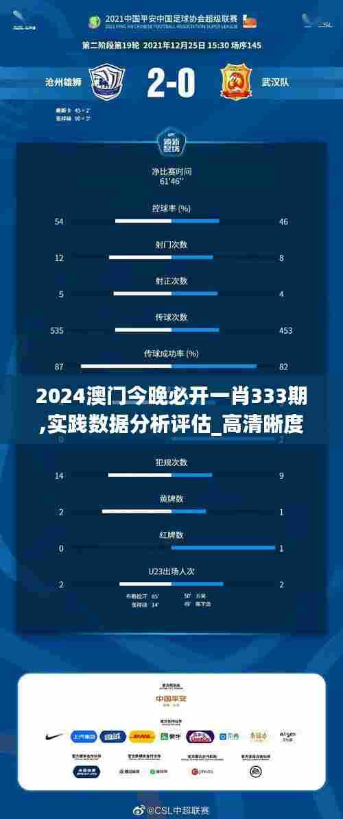 2024澳门今晚必开一肖333期,实践数据分析评估_高清晰度版OTV11.10