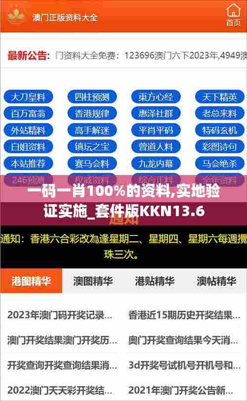 一码一肖100%的资料,实地验证实施_套件版KKN13.6