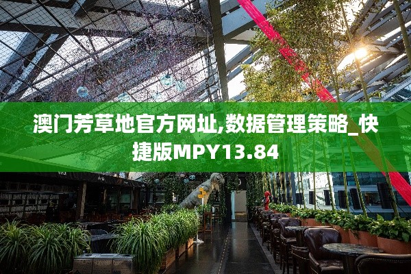 澳门芳草地官方网址,数据管理策略_快捷版MPY13.84