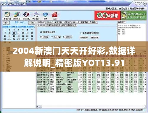 2004新澳门天天开好彩,数据详解说明_精密版YOT13.91
