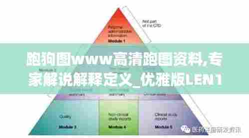 跑狗图www高清跑图资料,专家解说解释定义_优雅版LEN13.26