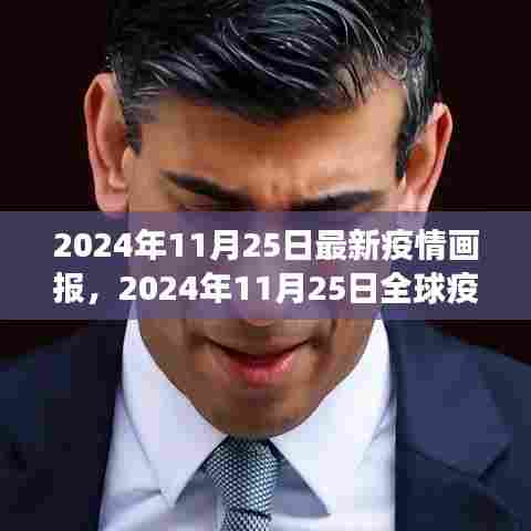 全球疫情最新进展报告，截至2024年11月25日的疫情画报