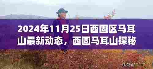 西固区马耳山最新动态揭秘，心灵之旅的探秘之旅（最新更新日期，2024年11月25日）