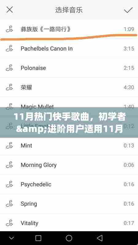 11月快手热门歌曲大全,初学者与进阶者的跟唱指南
