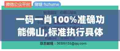 一码一肖100%准确功能佛山,标准执行具体评价_黑科技版MDG13.91