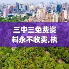 三中三免费资料永不收费,执行机制评估_便携版UJS13.22