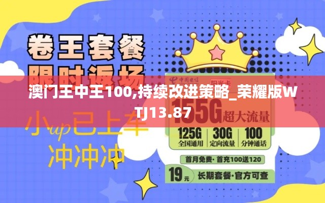 澳门王中王100,持续改进策略_荣耀版WTJ13.87