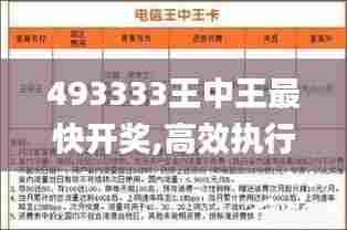 493333王中王最快开奖,高效执行方案_传递版IIP13.11