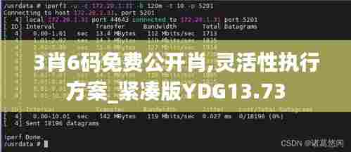 3肖6码免费公开肖,灵活性执行方案_紧凑版YDG13.73