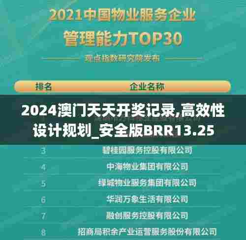 2024澳门天天开奖记录,高效性设计规划_安全版BRR13.25