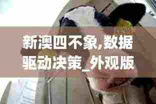 新澳四不象,数据驱动决策_外观版CIL13.93