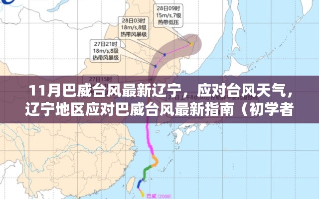 辽宁应对巴威台风最新指南，从初学者到进阶版的应对攻略