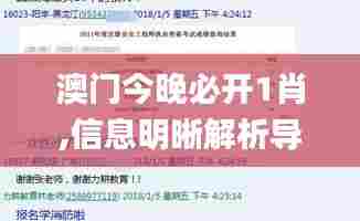 澳门今晚必开1肖,信息明晰解析导向_跨平台版ZXU13.76