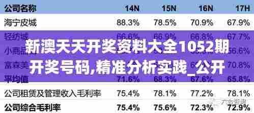 新澳天天开奖资料大全1052期开奖号码,精准分析实践_公开版WDB13.11