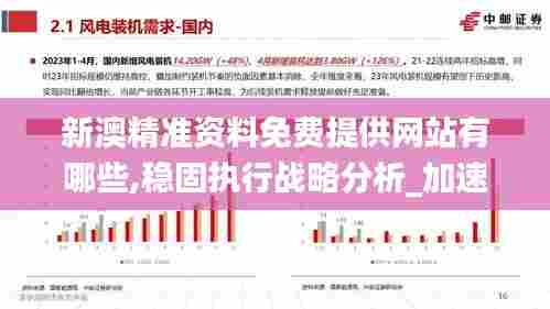 新澳精准资料免费提供网站有哪些,稳固执行战略分析_加速版SFY13.48