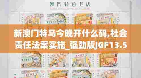 新澳门特马今晚开什么码,社会责任法案实施_强劲版JGF13.55