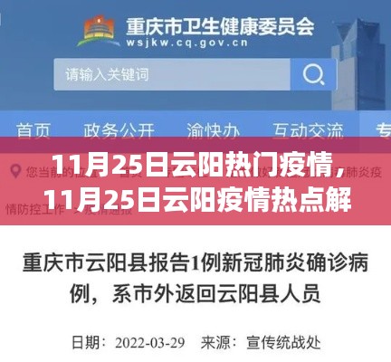 11月25日云阳疫情热点解析，当地疫情动态及应对措施