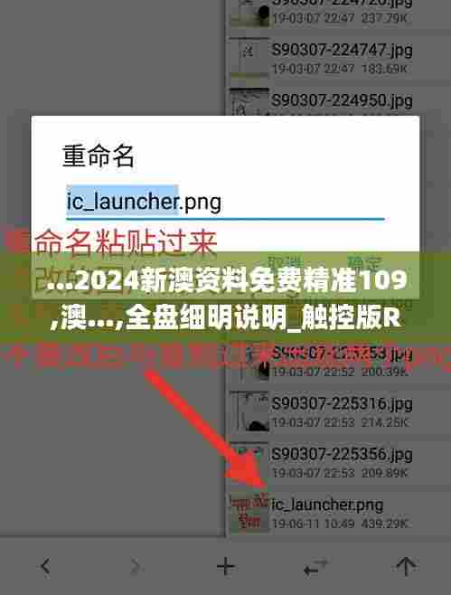 …2024新澳资料免费精准109,澳…,全盘细明说明_触控版RJN13.68