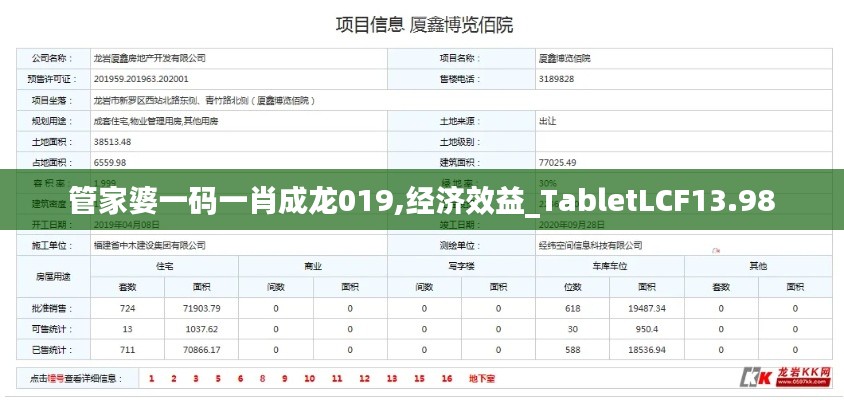 管家婆一码一肖成龙019,经济效益_TabletLCF13.98
