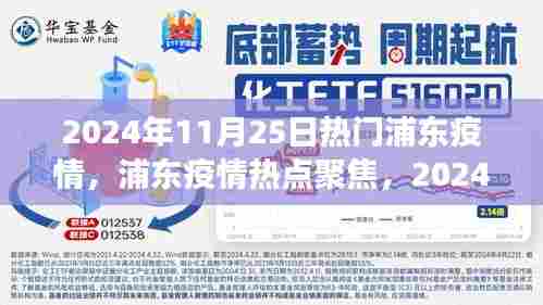 浦东疫情热点聚焦,2024年11月25日的观察与思考