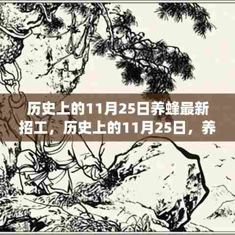 历史上的11月25日养蜂招工盛事与深远影响揭秘