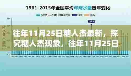 糖人杰现象深度探究，最新视角与观点（往年11月25日更新）