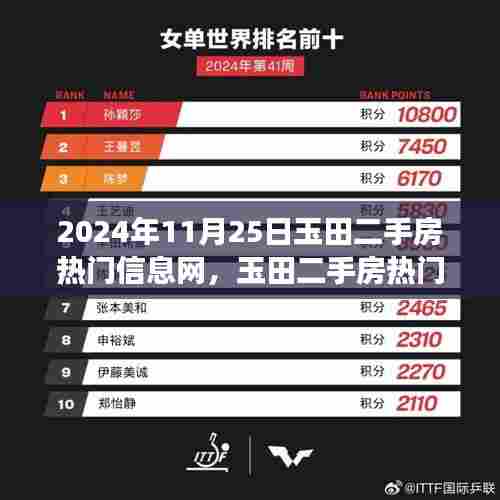 2024年11月25日玉田二手房市场深度洞察及热门信息一览