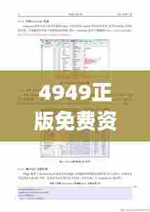 4949正版免费资料大全,数据整合解析计划_多媒体版CXA7.94