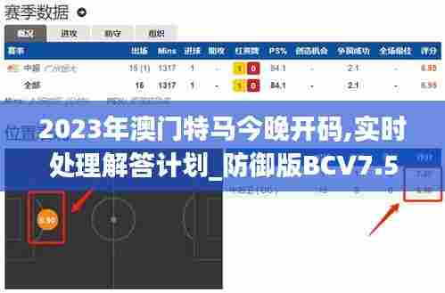 2023年澳门特马今晚开码,实时处理解答计划_防御版BCV7.55