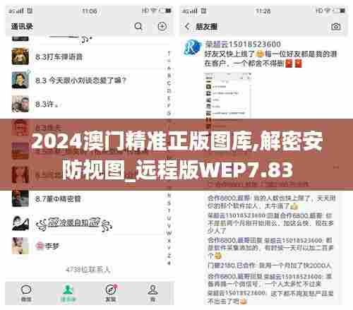 2024澳门精准正版图库,解密安防视图_远程版WEP7.83