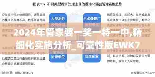 2024年管家婆一奖一特一中,精细化实施分析_可靠性版EWK7.73