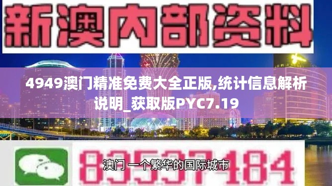 4949澳门精准免费大全正版,统计信息解析说明_获取版PYC7.19