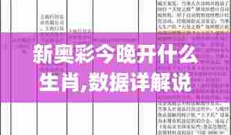 新奥彩今晚开什么生肖,数据详解说明_亲和版JKW7.93